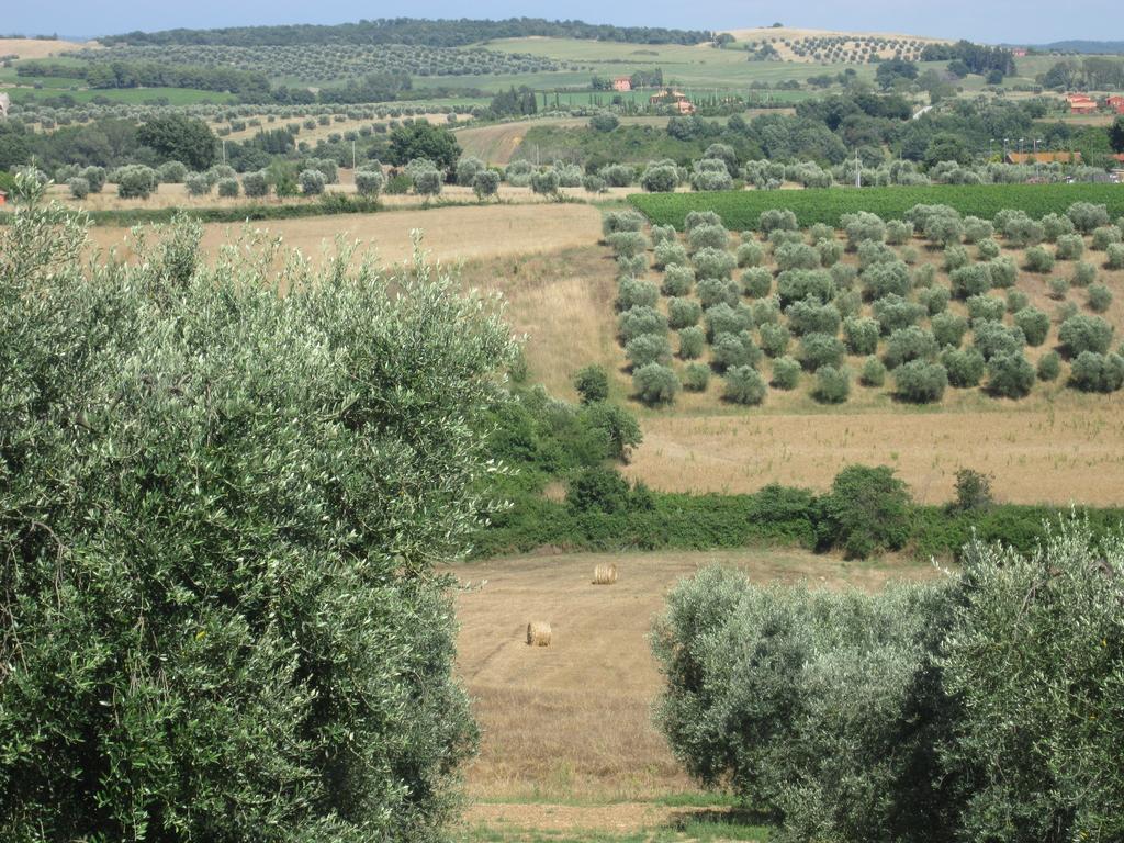 Agriturismo La Carlina Villa Magliano in Toscana Buitenkant foto