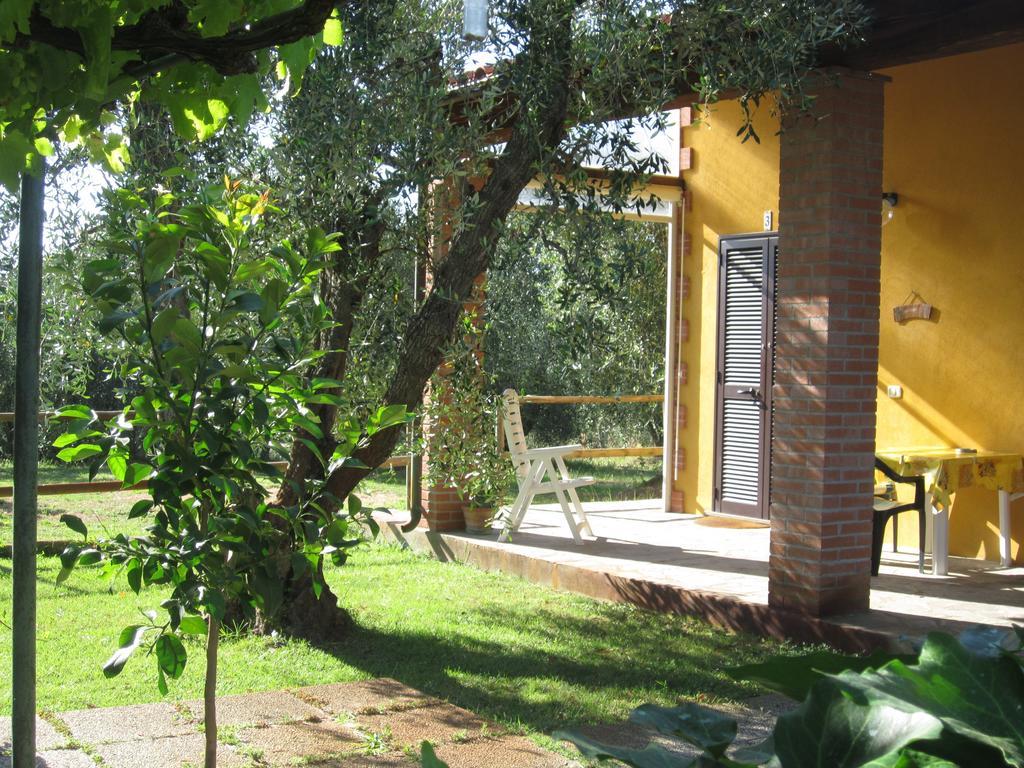 Agriturismo La Carlina Villa Magliano in Toscana Kamer foto